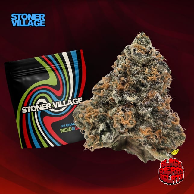 Black Cherry Gelato - Image 1