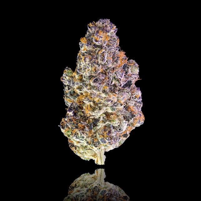 Key Lime Jack -  Maven Minis [14g] - Image 2