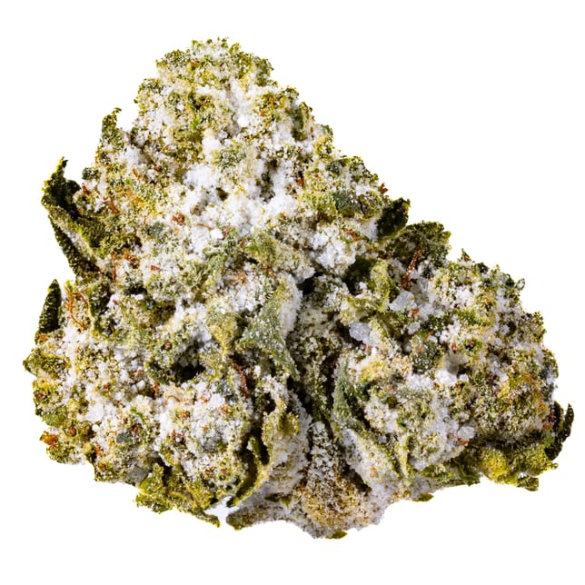 Jokerz Gelato - Image 1 Jokerz Gelato - Image 1