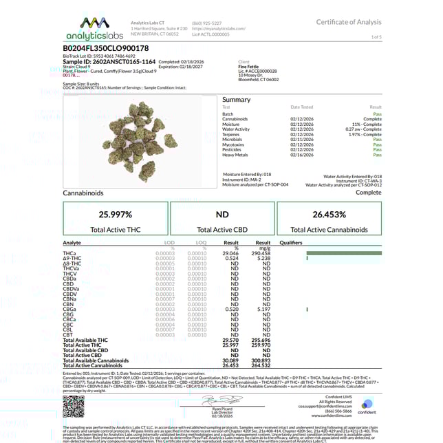 Comffy - Cloud 9 (H) Flower C0140000178 - Image 3 Comffy - Cloud 9 (H) Flower C0140000178 - Image 3