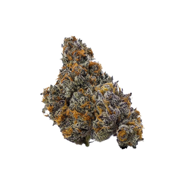 Phoenix Lights - Image 3