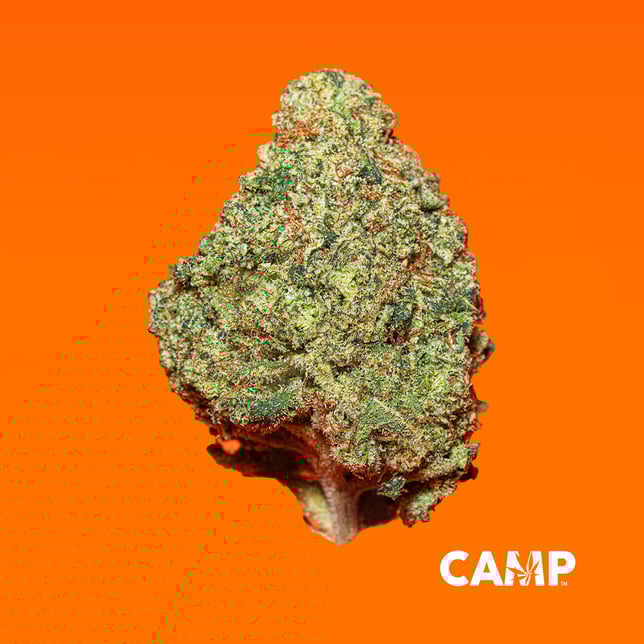 Plum Sangria - Image 2