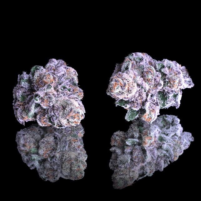 98 Reserve Pre-Roll 5-Pack [2.5g] - Image 3