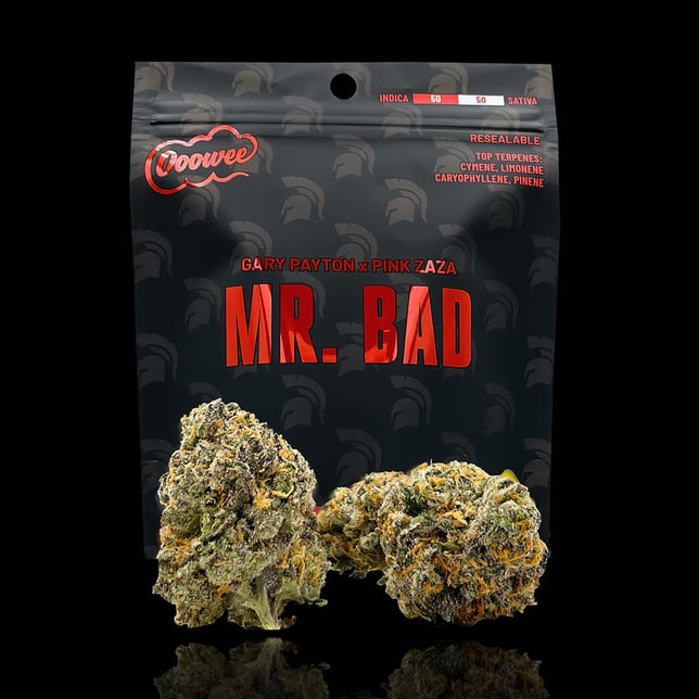 Mr. Bad - Image 1 Mr. Bad - Image 1
