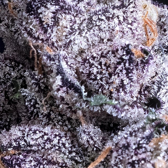 Prizm Pre-Roll [1g] - Image 5