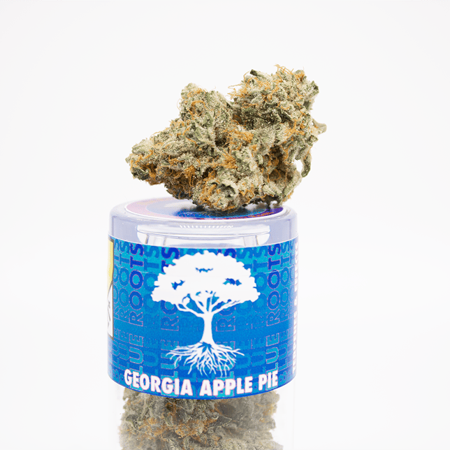 Georgia Apple Pie - Image 2