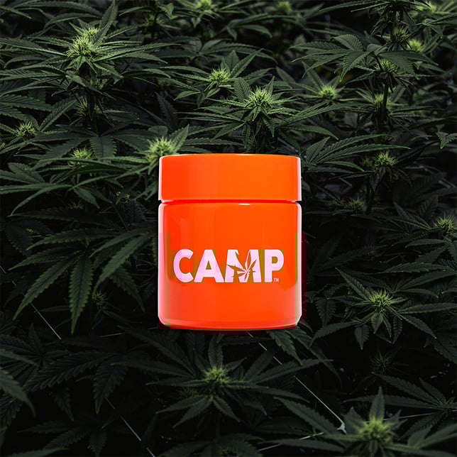 Gello - Image 1 Gello - Image 1