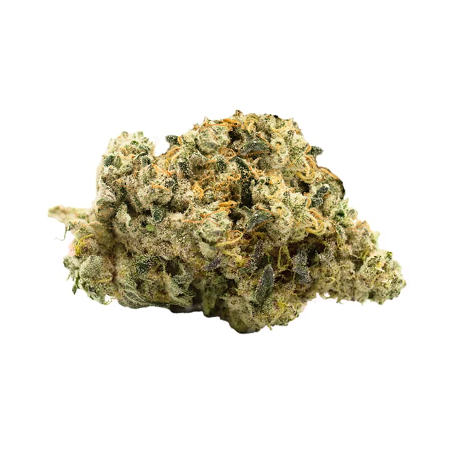 Afternoon Delight - Image 2 Afternoon Delight - Image 2