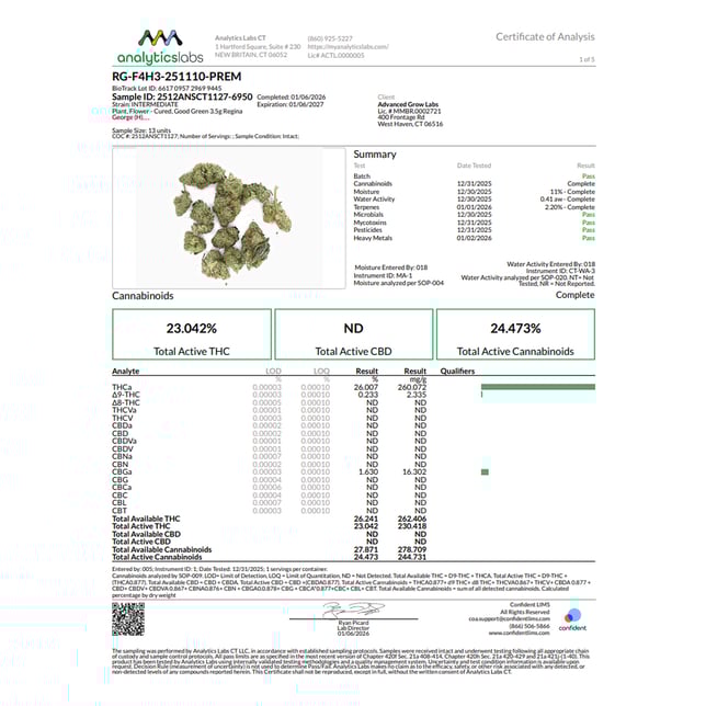 Good Green - Regina Gorgeous (H) Flower  C0010001213 - Image 5