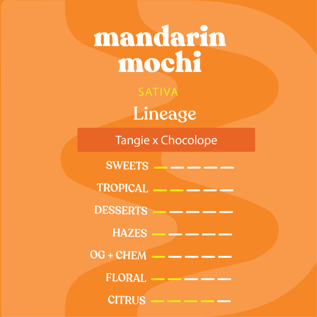 Mandarin Mochi - Image 1 Mandarin Mochi - Image 1