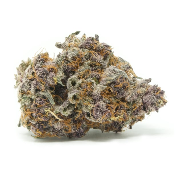 Permanent Vacation - Image 2 Permanent Vacation - Image 2