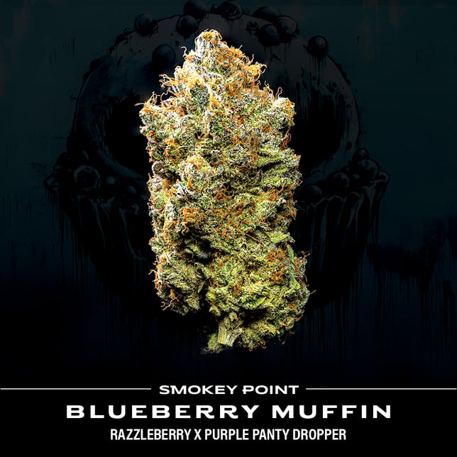 Blueberry Muffin - Image 2 Blueberry Muffin - Image 2