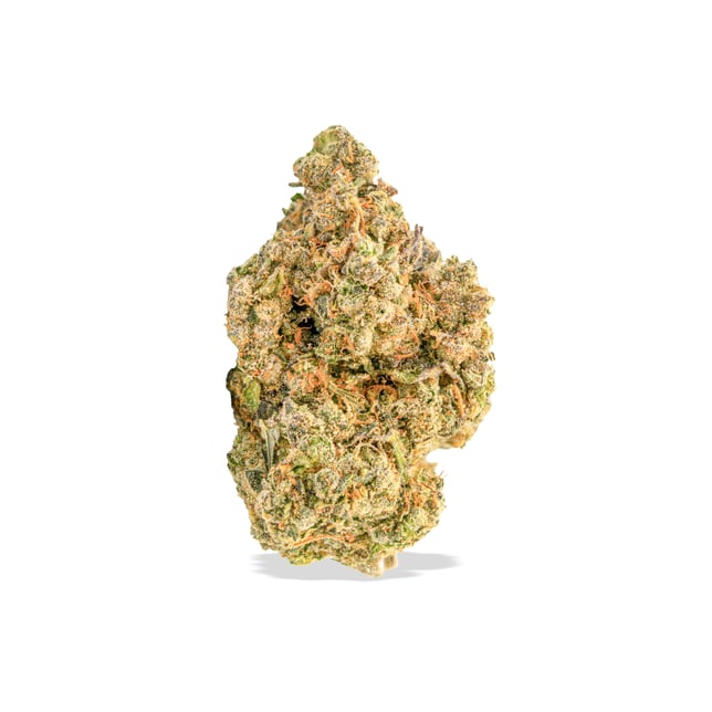 Crescendo - Image 2 Crescendo - Image 2