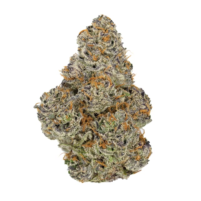 Wingsuit - Image 6 Wingsuit - Image 6