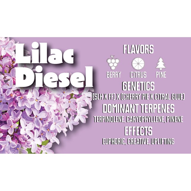 Lilac Diesel - Image 2