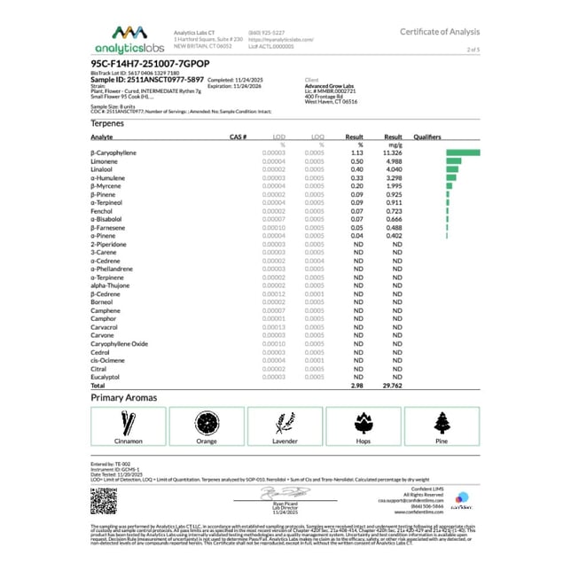 Rythm - 95 Cook (H) Smalls C0010001109 - Image 5 Rythm - 95 Cook (H) Smalls C0010001109 - Image 5