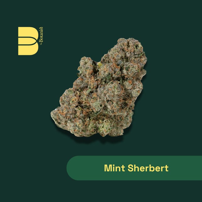 Mint Sherbert - Image 1 Mint Sherbert - Image 1