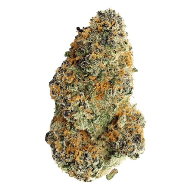 Dosi-Orange #9 - Image 4