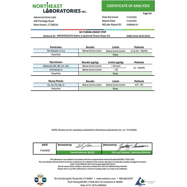 Rythm - Slapz (H) Smalls  C0010000827 *NP - Image 5