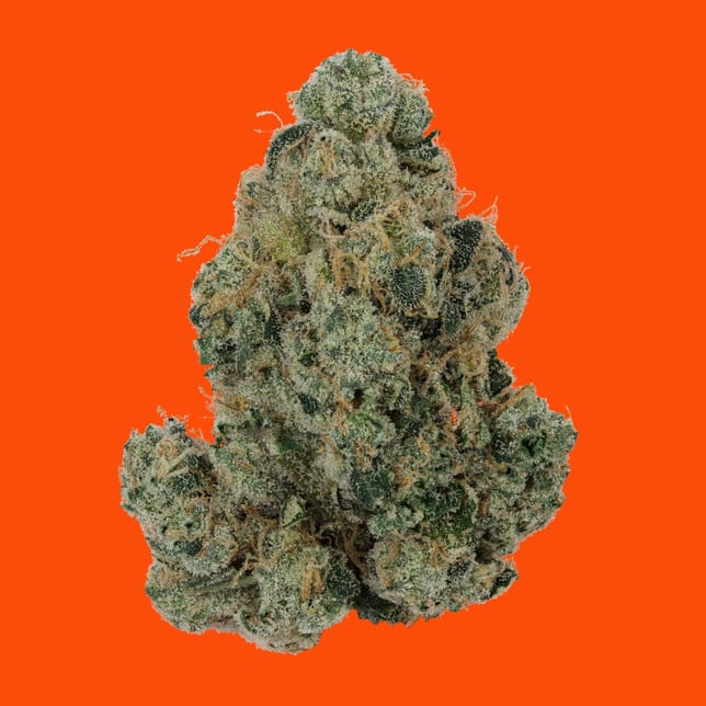 Violet Chems - Image 2