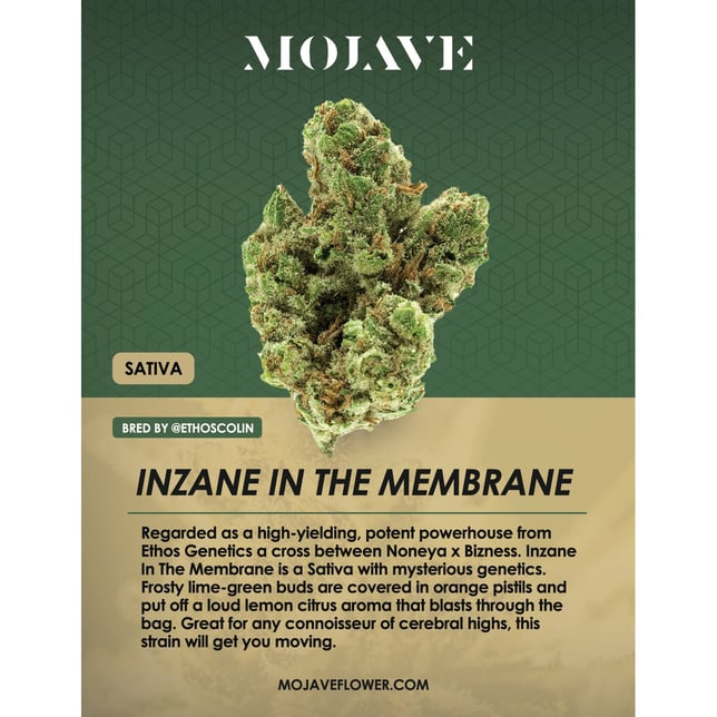Inzane In The Membrane - Image 1 Inzane In The Membrane - Image 1
