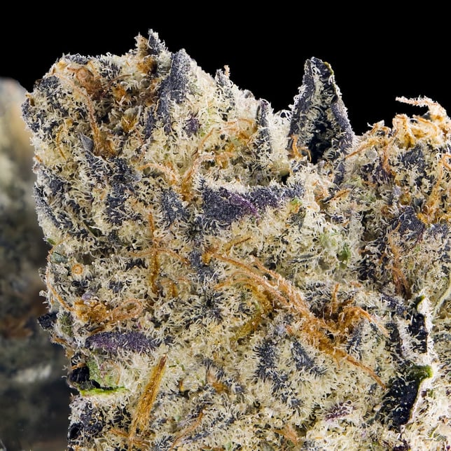 Sour Sangria Gold Blend - Image 5