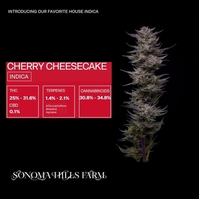 Cherry Cheesecake - Image 2