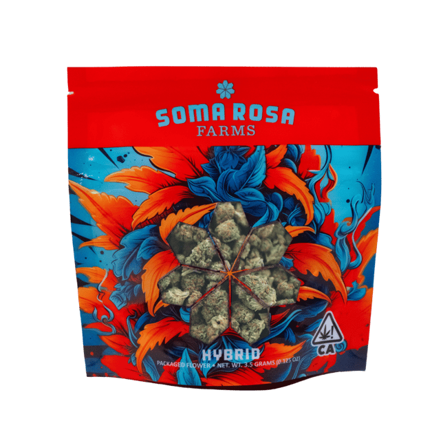 Double Lantern - Image 1 Double Lantern - Image 1