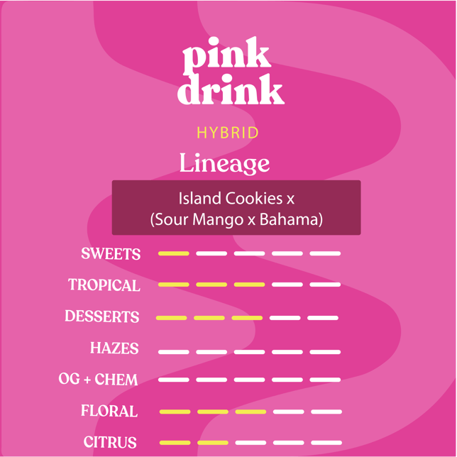 Pink Drink - Image 2