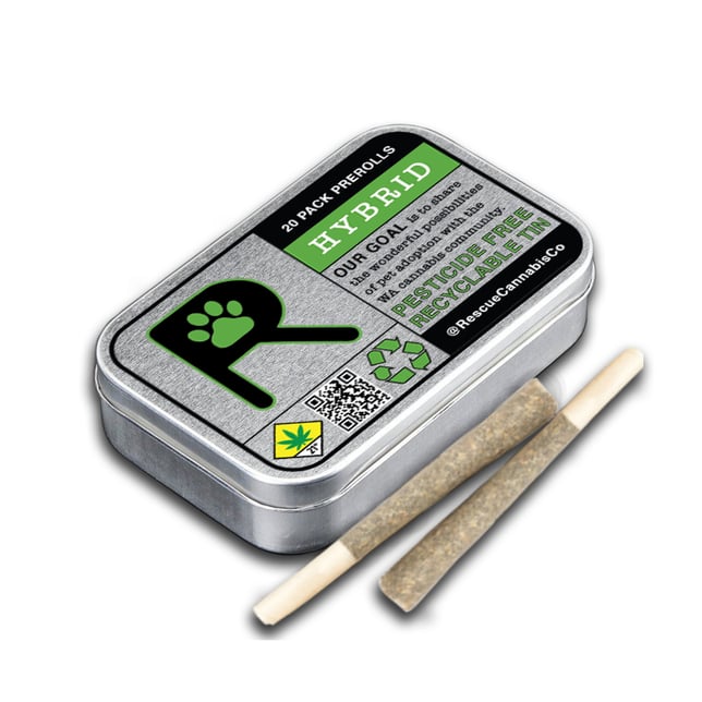Runtz [20 Pack .5g] - Image 2