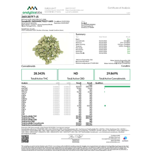 Grassroots - Jayna's Sunshine (H) Flower  C0030001550 - Image 3