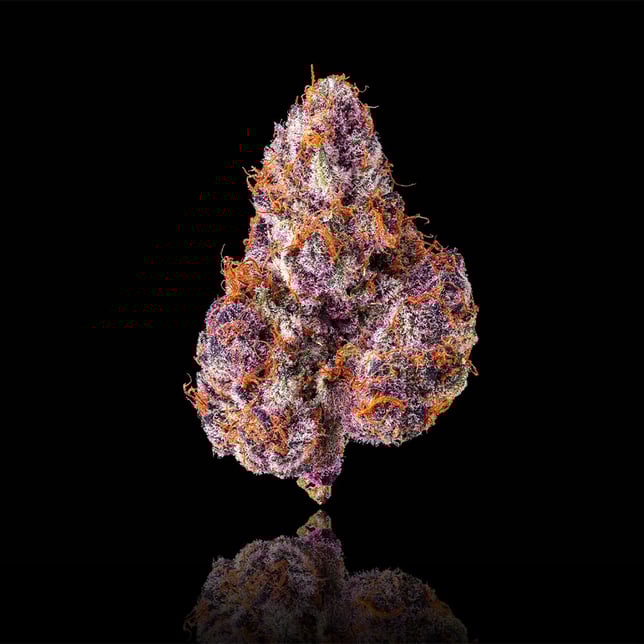 Lemon Cherry Tropicana [3.5g] - Image 2