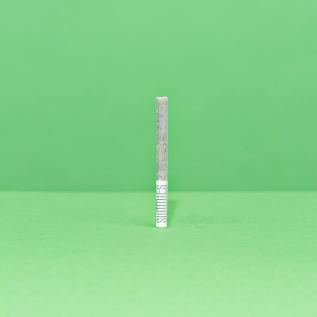 Sativa 10-pk | Banana Smoothie | 3.5g - Image 4