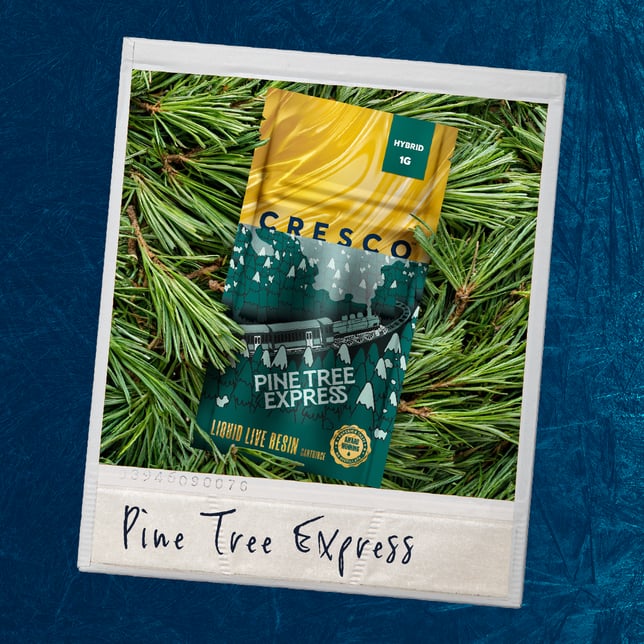 Pine Tree Express - Image 2