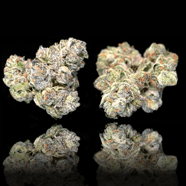 Black Diamond X Pre-Roll [1g] - Image 3