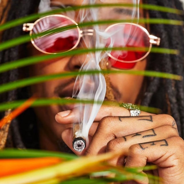 Paradiso Tropical Halo [1.9g] - Image 6