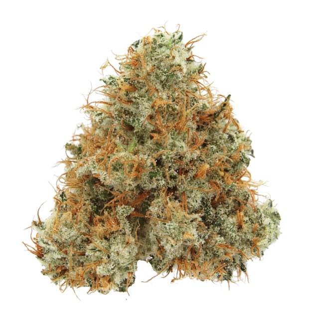 Northern Lights - Image 2