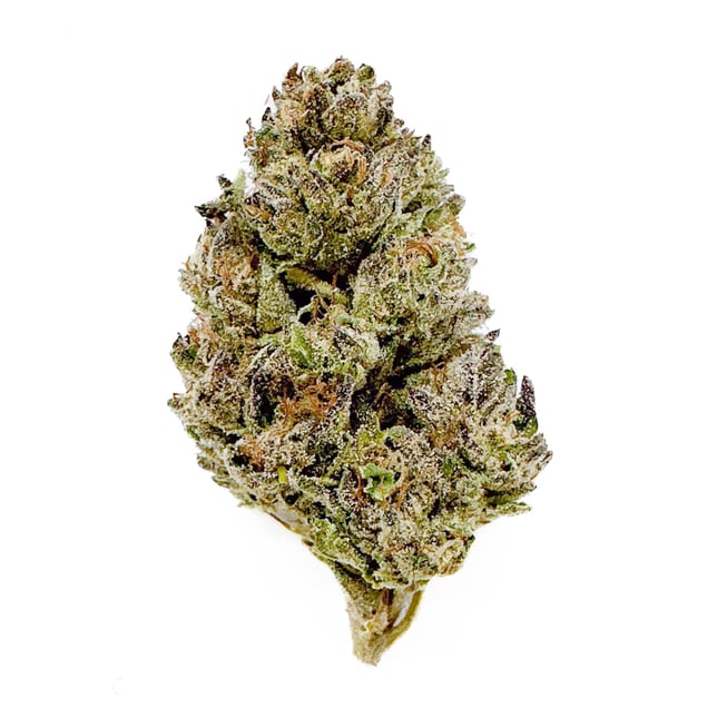 Cherry Garcia - Image 2 Cherry Garcia - Image 2