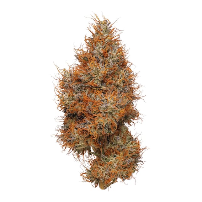 Lemon-Up - Image 2 Lemon-Up - Image 2