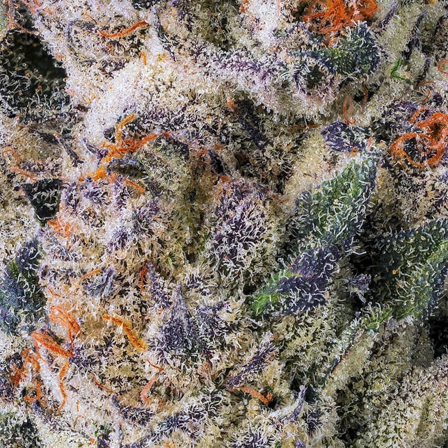 Black Lotus [3.5g] - Image 5