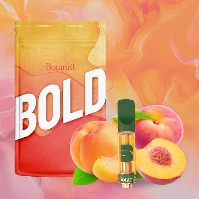 BOLD Peach - Image 2