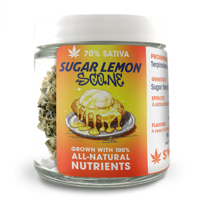 Sugar Lemon Scone - Image 1