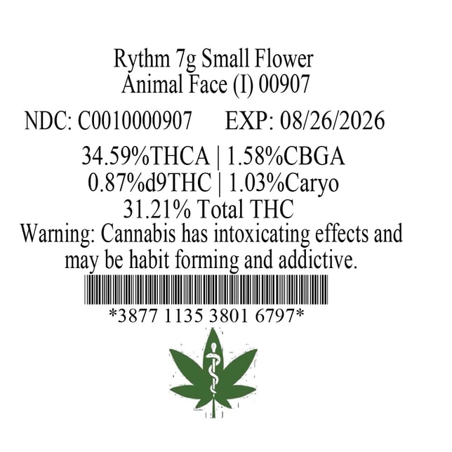Rythm - Animal Face (I) Smalls C0010000907 - Image 3 Rythm - Animal Face (I) Smalls C0010000907 - Image 3