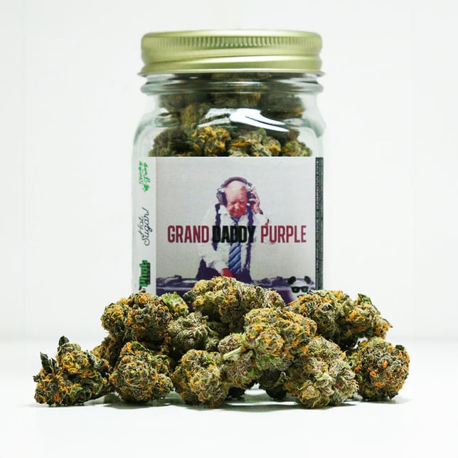 Grand Daddy Purple - Image 1 Grand Daddy Purple - Image 1