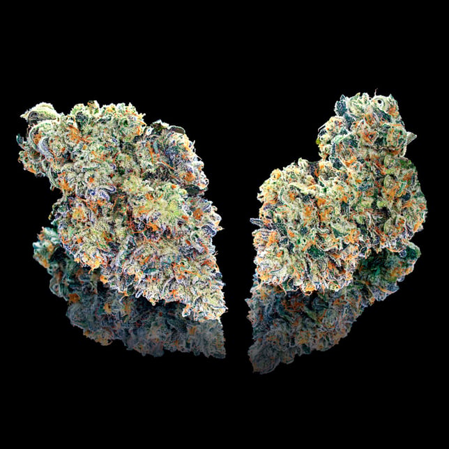 Chem 51 All-In-One Gold Blend [1000mg] - Image 3