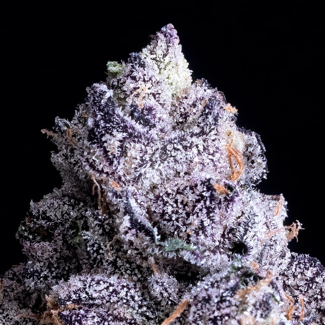 Prizm All-In-One Gold Blend [1000mg] - Image 4