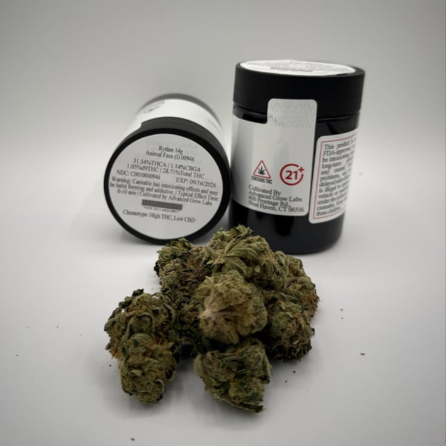 Rythm - Animal Face (I) Flower C0010000946 - Image 2 Rythm - Animal Face (I) Flower C0010000946 - Image 2