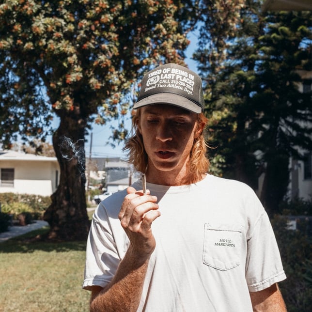 Hybrid 2-pk | GovernMint Oasis | .7g - Image 4 Hybrid 2-pk | GovernMint Oasis | .7g - Image 4