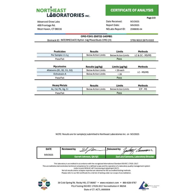 Rythm - OMG (H) Flower  C0010000916 - Image 5