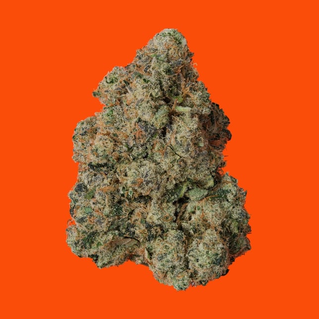 Fox River Chem - Image 2